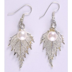Birch Earrings in Silver with Pearl