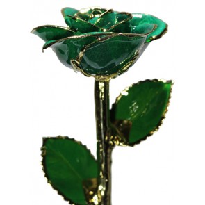 Dark Green Rose Trimmed in 24k Gold (May)