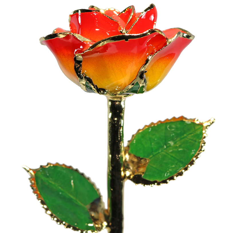 Sunset Rose in Gold - Living Gold Co.