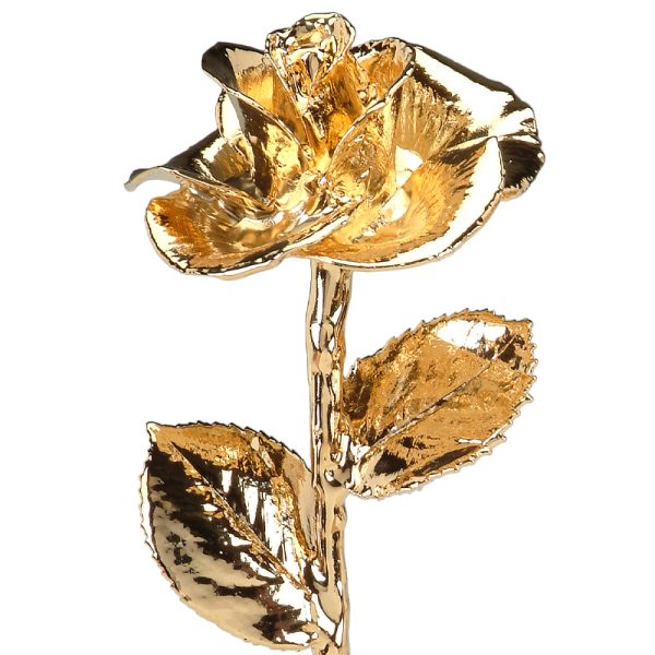 Gold Diana Rose By Living Gold - 2024 Real Rose Plated in 24K Gold (12